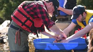NexTrak: A New Era for Aquatic Animal Research