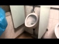 How to unclog your toilet without a plunger - QUICK AND EASY