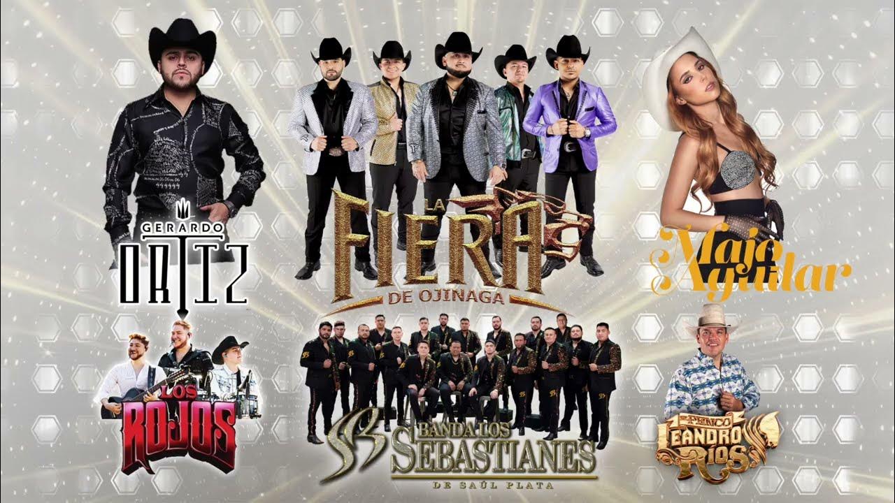 ¡Evento Familiar GRATIS! Feria del Taco 2023 en Houston Sabor y Música
