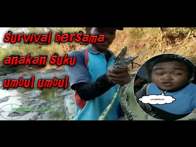 niat survival berburu babi hutan malah dapat biawak class=