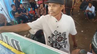 Putra paser