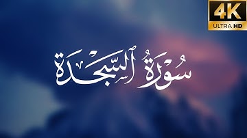 القارئ عمر عبدالله سلطان  سورة ( السجدة ) كاملة