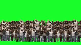 Crowd Cheering Green Screen