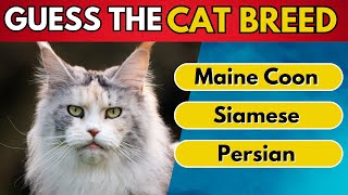 Guess The Cat Breed In 10 seconds | 50 Cats breeds | Multiple Choice screenshot 2