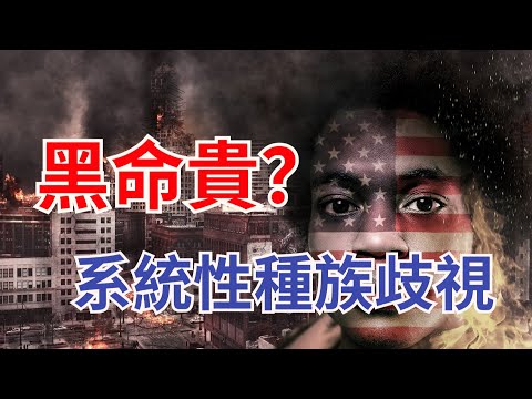 理解“黑命贵”的根源：美国的系统性种族歧视 Understanding Black Lives Matter: Systemic Racism in USA