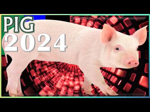 Pig Horoscope 2024 || Born 2019, 2007, 1995, 1983, 1971, 1959, 1947, 1935