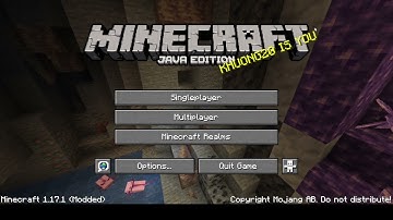 is this the rarest splash text EVER?! (player name + IS YOU)