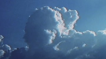 The Magnetic Fields - 