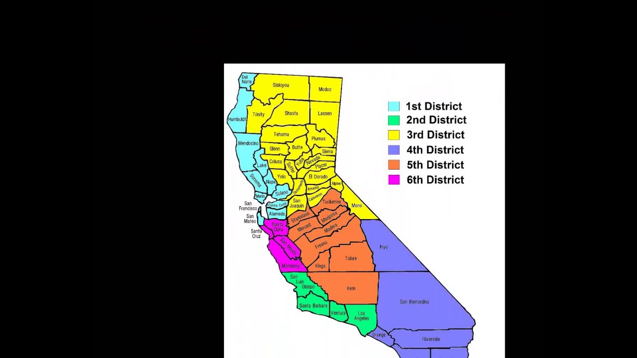 13  State Court System