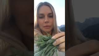 Очищаем дом от негатива, а так же способ борьбы с БЕССОНИЦЕЙ!