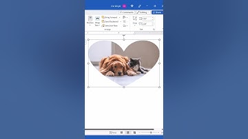 FASTEST Way to Insert Images into Shapes in Microsoft Word (PC & Mac) #shorts