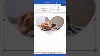 FASTEST Way to Insert Images into Shapes in Microsoft Word (PC & Mac) #shorts
