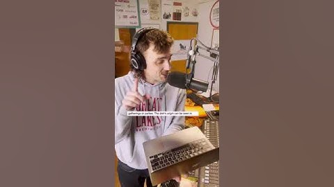 Code Word: Deviled Egg 😈