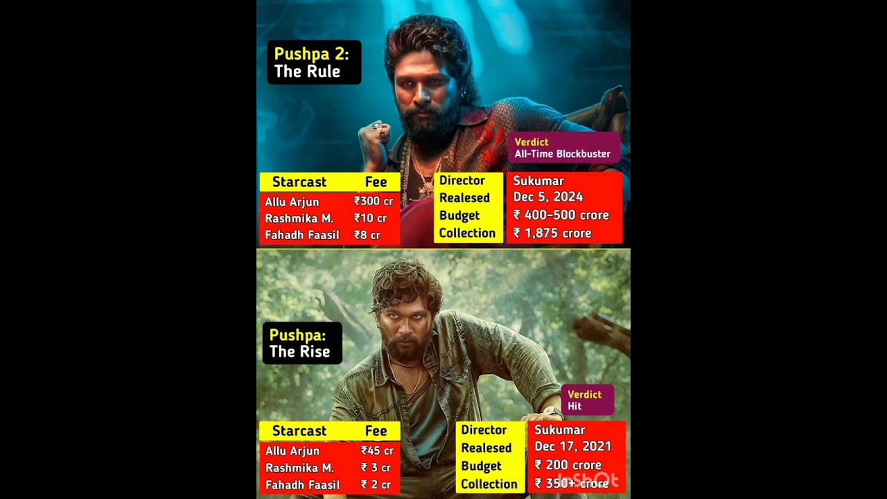 Pushpa 1 and 2 Allu Arjun net worth