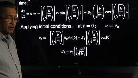 Undamped Free Translational Vibrations of One Degree of Freedom Systems