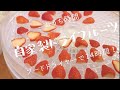 【ASMR】自家製ドライフルーツ（いちご）を作ってみた♡フードドライヤー/おうちカフェ