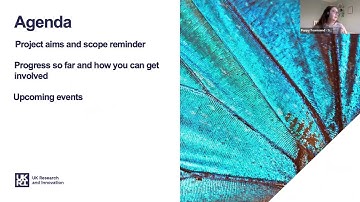 Progress webinar (March 2022) for the UKRI Net Zero DRI Scoping Project