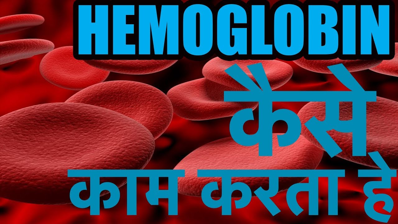 How HEMOGLOBIN Works HEMOGLOBIN Structure And Function Explained In How HEMOGLOBIN Works HEMOGLOBIN Structure And Function Explained In