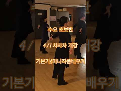 수요초보반 4/1 차차차 개강 미니작품배우기 기본기 #초급 #중급 #성인 #싱글 #댄스