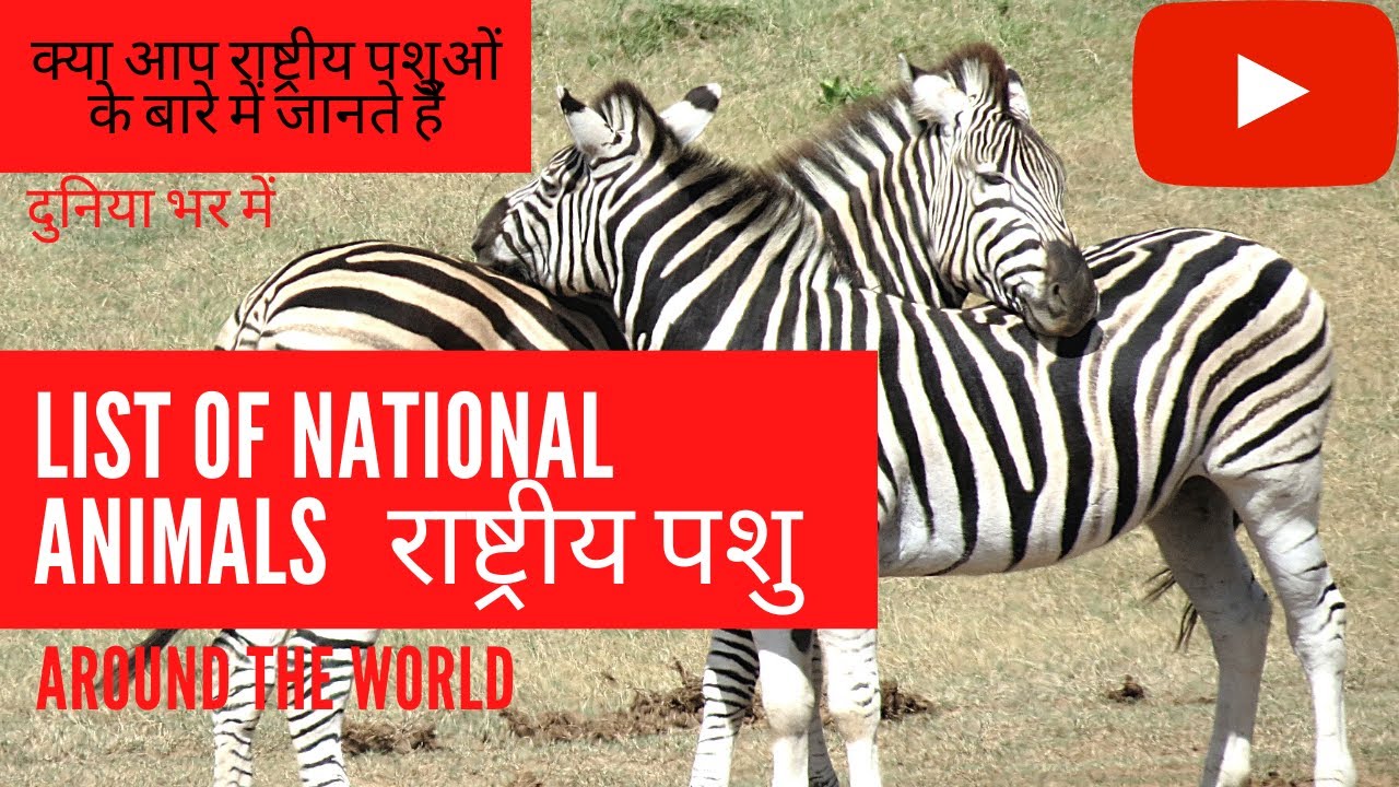 List of National Animals | National Animals of Countries | राष्ट्रीय पशु |  World General knowledge - YouTube