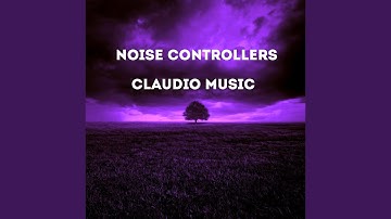 Noise Controllers