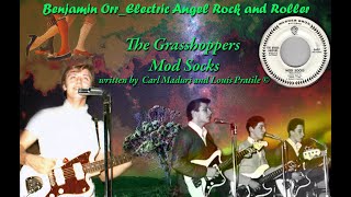 Video thumbnail of "Benjamin Orr 1965 The Grasshoppers  Mod Socks Single With Lyrics to the song added"