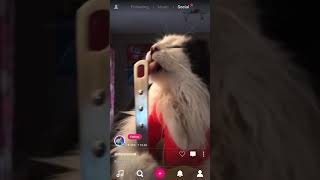 How to see who liked video in Triller app? screenshot 1