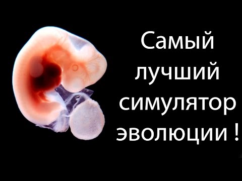 Самый лучший симулятор эволюции ! ( Species )