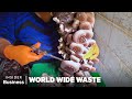 How mushroom startups use fungi to fight waste  world wide waste  insider business