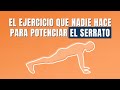 El ejercicio que nadie hace para potenciar el serrato 🙆‍♂️