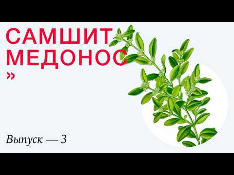 Самшит Медонос Подкаст Выпуск 3
