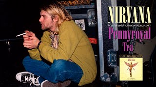 Nirvana: Pennyroyal Tea (Guitar Cover)