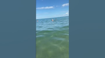 Thumbnail of Анапа 2 июля 2025. Состояние моря на песчаном пляже в городе Анапе
