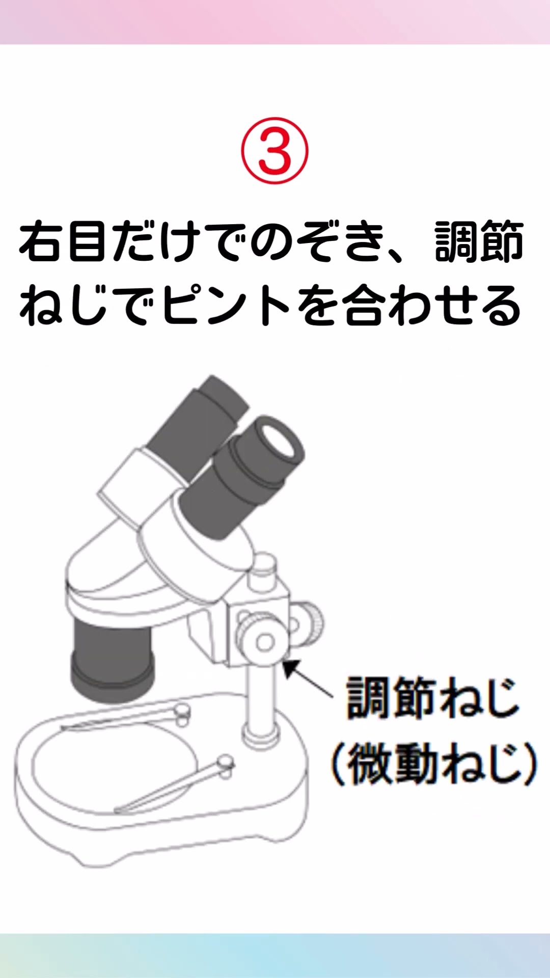 顕微鏡 SL-30CS Vixen ビクセン-