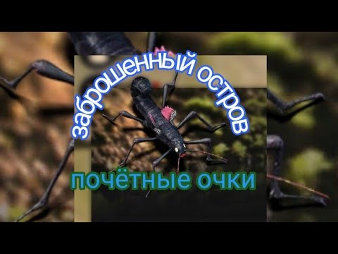 Видео: the ants underground kingdom заброшенный остров бета день 3, как получить очки почета