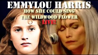 Emmylou Harris - How She Could Sing The Wildwood Flower (Live)