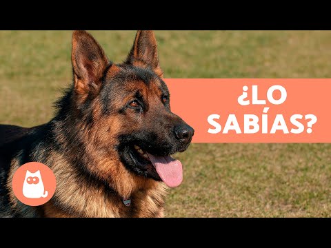 10 COSAS que