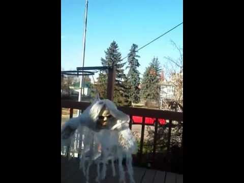 Axworthy Ghost