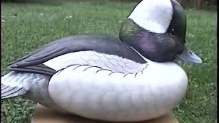 Oliver Lawson Inspired Bufflehead by Thomas McCollum