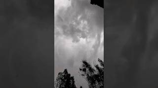 sawan main morni banke #falguni pathak#trendingshorts