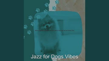 Pulsating Ambiance for Well Behaved Dogs