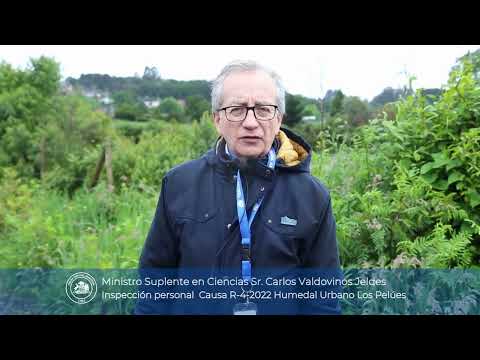 Ministro Suplente en Ciencias Sr. Carlos Valdovinos Jeldes Causa R-4-2022