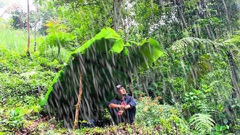 Berkemah Sendirian Saat Hujan Badai Petir //Berjuang Membangun Tempat Berlindung Tepi Sungai