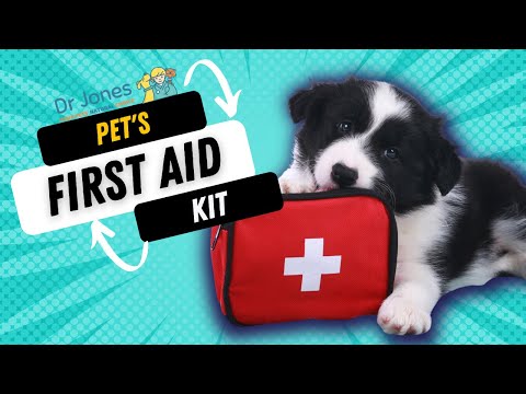 Video: Kas ir Jūsu Pet pirmās palīdzības komplektā?