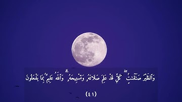 Surah A'nour | Ayahs 35-45 [CINEMATIC VISUALS]  -سورة النور ايه 35 الي  45-الشيخ ماجد الزامل