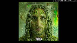 I AM ACID MAN