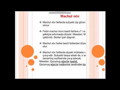Azərbaycan dili: Feilin