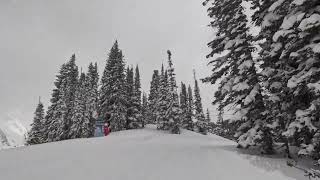 Snowbird Ski Resort: Skiing the Gullies in Peruvian Gulch