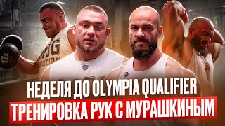 НЕДЕЛЯ ДО OLYMPIA QUALIFIER | ТРЕНИРОВКА РУК С МУРАШКИНЫМ