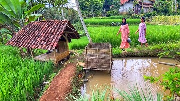 LUAR BIASA !! Sejuk Indah Alam Desanya, Suasana Sore Di Kampung Yg Tenang, Pedesaan Sunda Jawa Barat